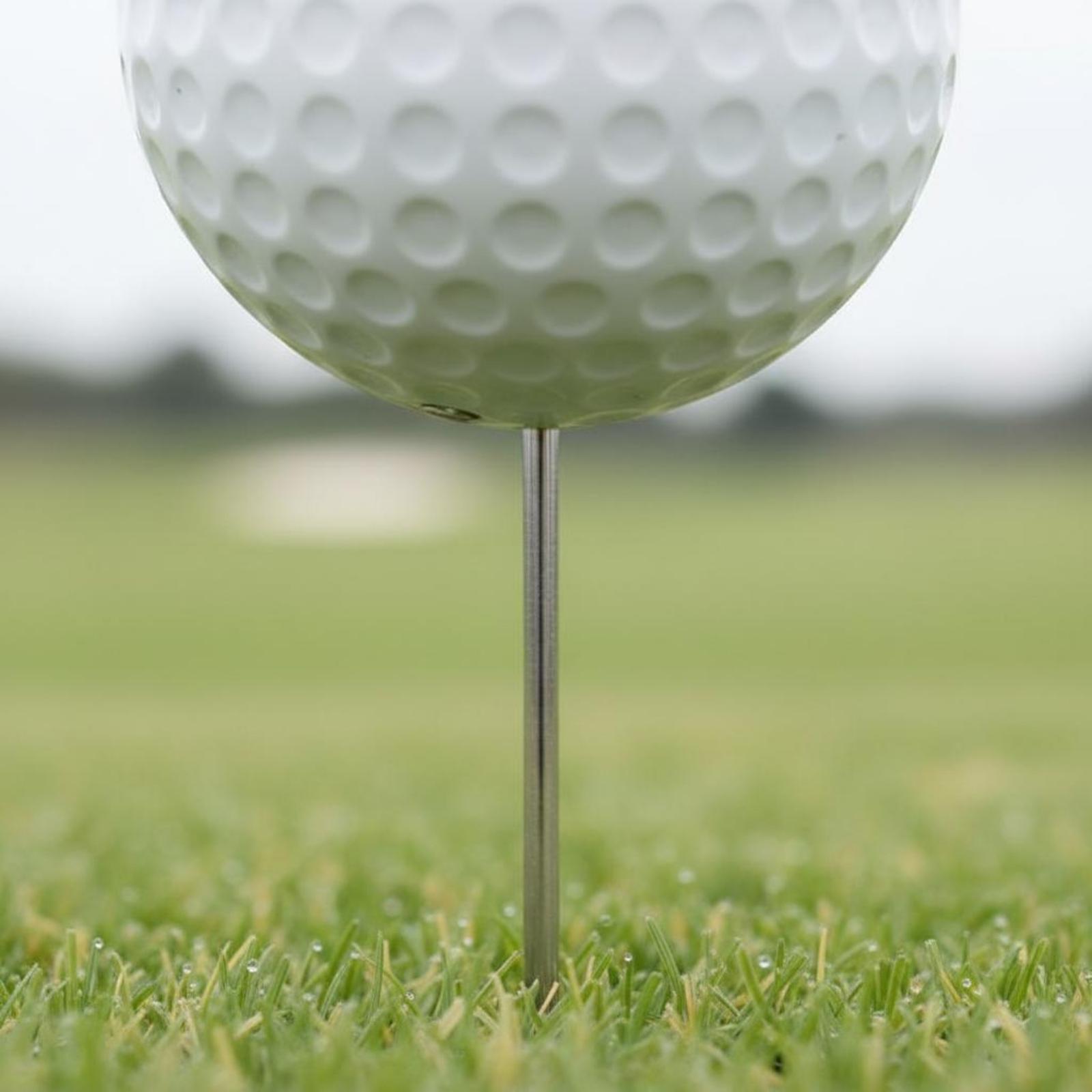 골프 코스 티잉 스타터 골프공 모양 마커 광택 마감 A - Golf Tees 리뷰 및 가격